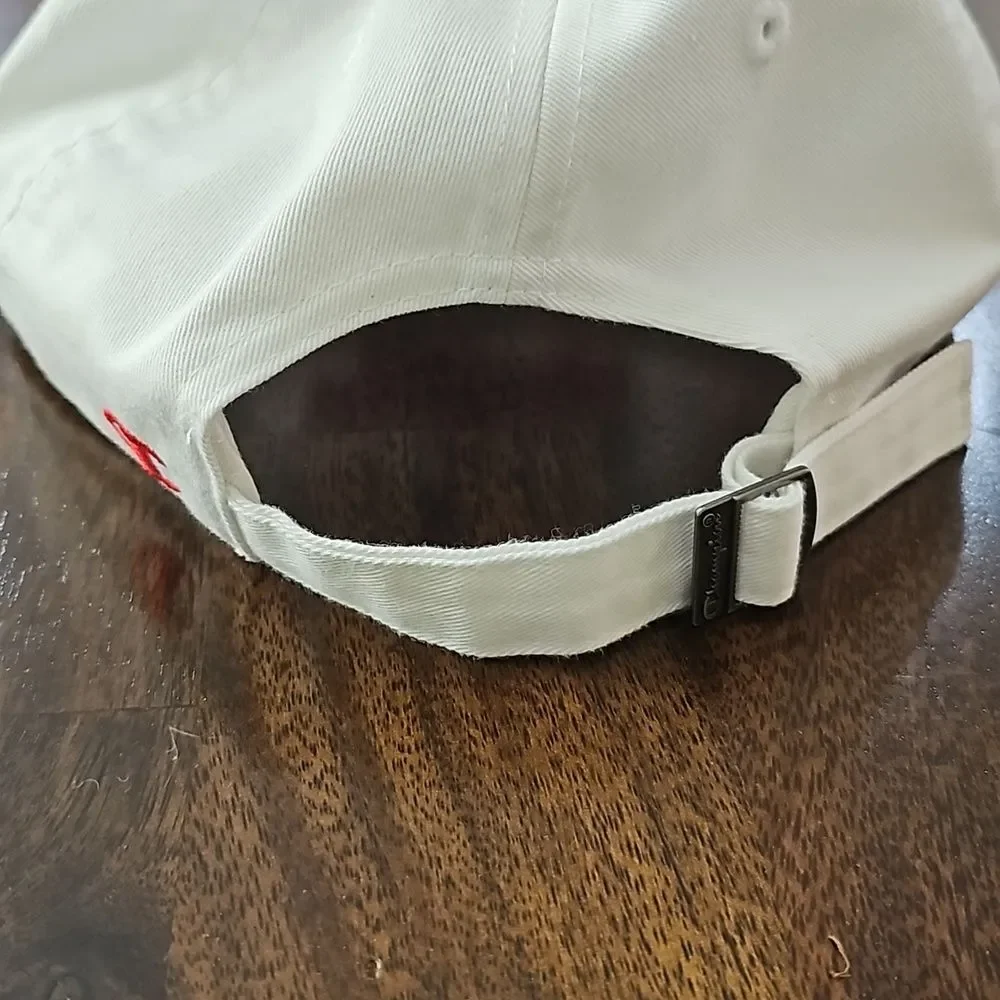 NWT Champion Dickinson College White Baseball Hat